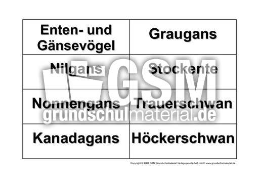 Enten-Gänse-Bilder-zuordnen-1.pdf